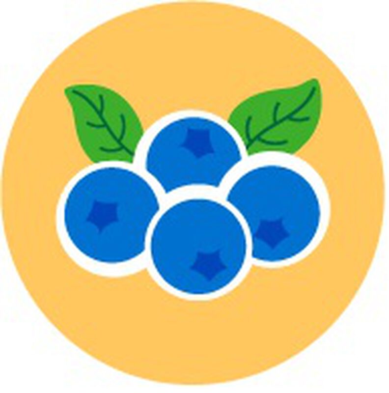 Blueberry Scent - Build-A-Bear Workshop®
