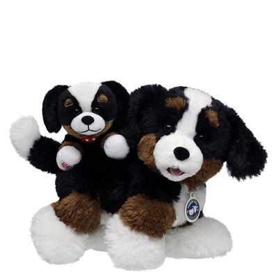 Promise Pets&trade; Bernese Mountain Dog Soft Toy Mini Beans&reg; Gift Set