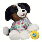 Promise Pets Bernese Mountain Dog Stuffed Animal Tennis Ball Gift Set plush by Build-A-Bear
