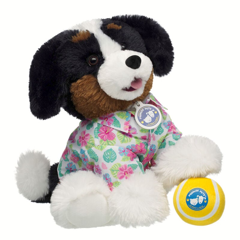 Promise Pets Bernese Mountain Dog Stuffed Animal Tennis Ball Gift Set plush by Build-A-Bear