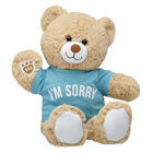 Cuddly Brown Bear I'm Sorry Gift Set