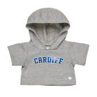 Cardiff Hoodie