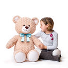Online Exclusive Jumbo Blue Bow