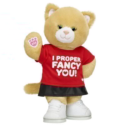 Jennifur Cat Plush Fancy You Gift Set