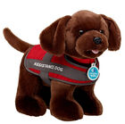 Online Exclusive Promise Pets™ Chocolate Lab Service Dog Gift Set