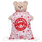 Valentine's Day Toy Bear Carrier by Build-A-Bear