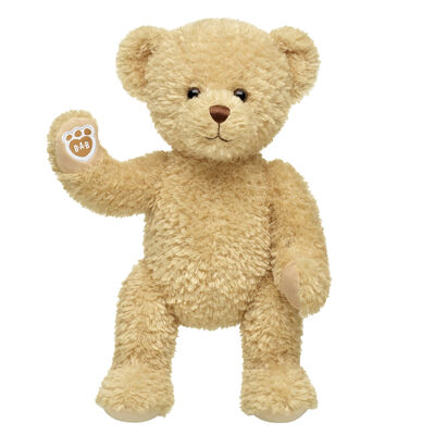 Keepsake Teddy Bear