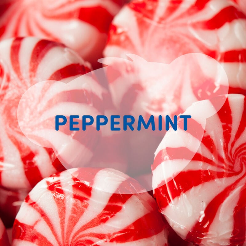 SCENTiments&trade; Peppermint Scent