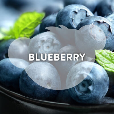 Blueberry Scent 