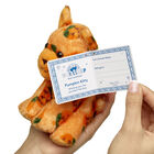 Mini Beans Pumpkin Kitty Stuffed Animal - Build-A-Bear Workshop&reg;