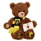 HUFFLEPUFF™ House Bear with Scarf and HOGWARTS™ Acceptance Letter