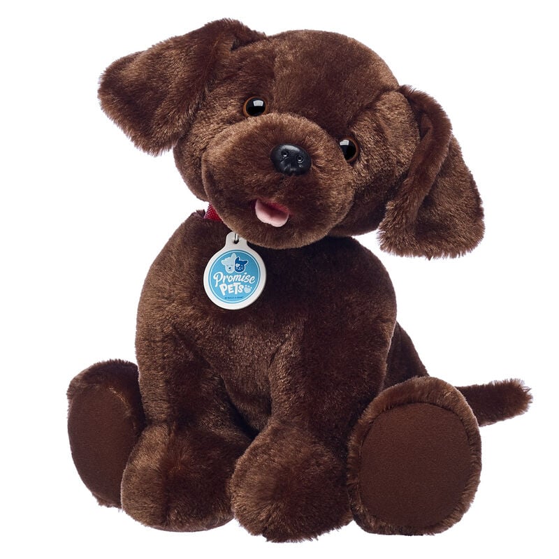 Online Exclusive Promise Pets™ Chocolate Lab