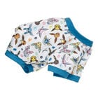 Pok&eacute;mon Eevee Sleeper