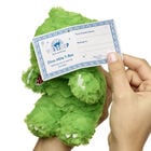 Mini Beans Dino-Mite T-Rex Plush - Build-A-Bear Workshop&reg;