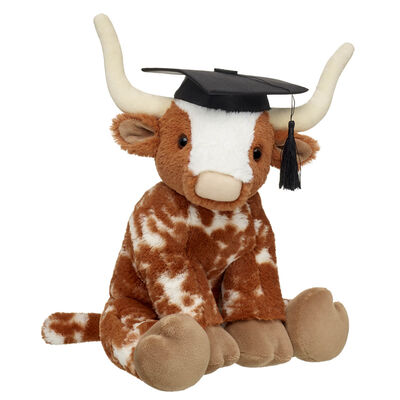 Highland Cow Soft Toy Graduation Bundle