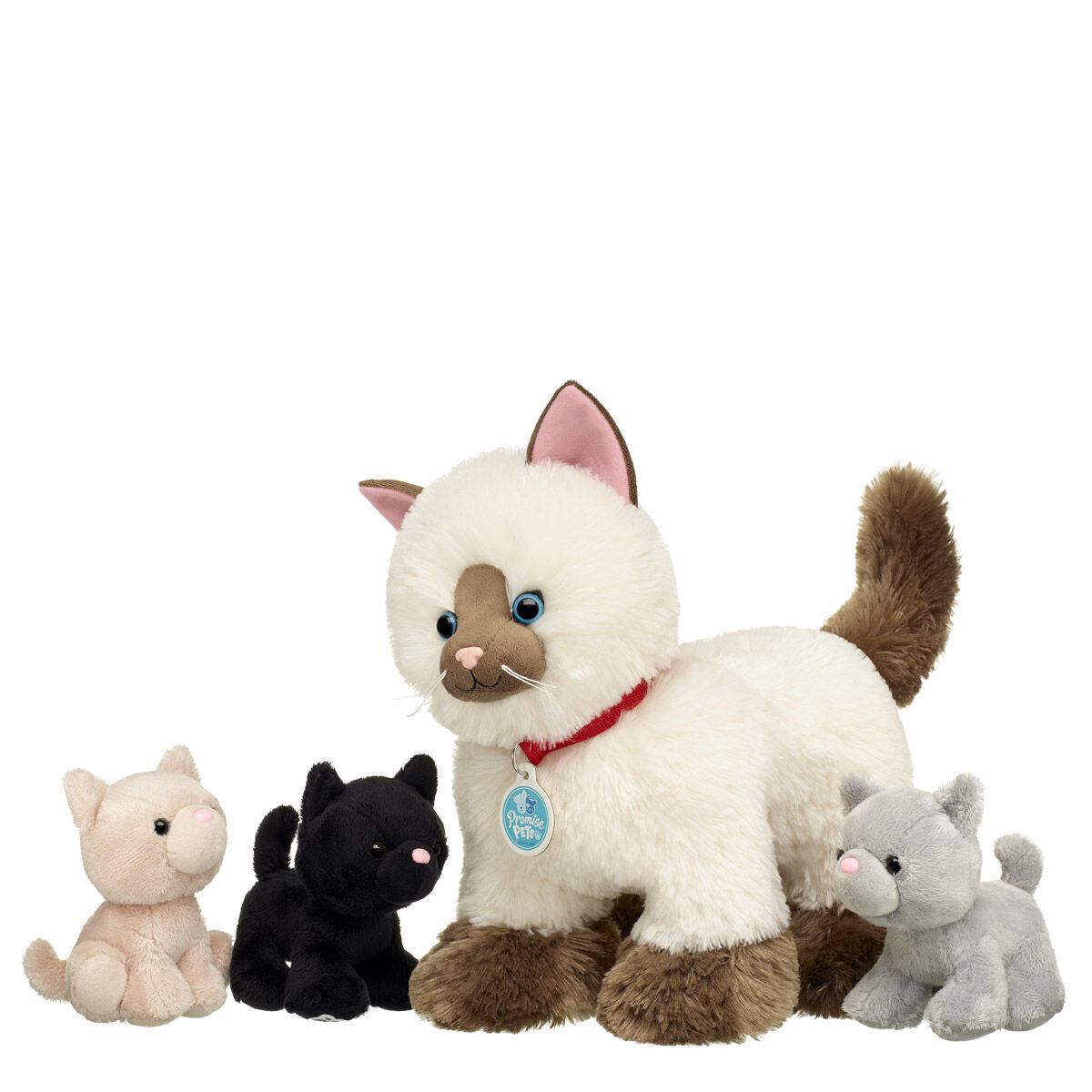 Promise Pets Ragdoll Kitten Soft Toy Kitties Gift Set