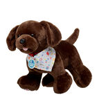 Online Exclusive Promise Pets™ Chocolate Lab Party Bandana Gift Set