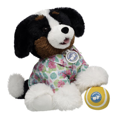 Promise Pets&trade; Bernese Mountain Dog Soft Toy Tennis Ball Gift Set