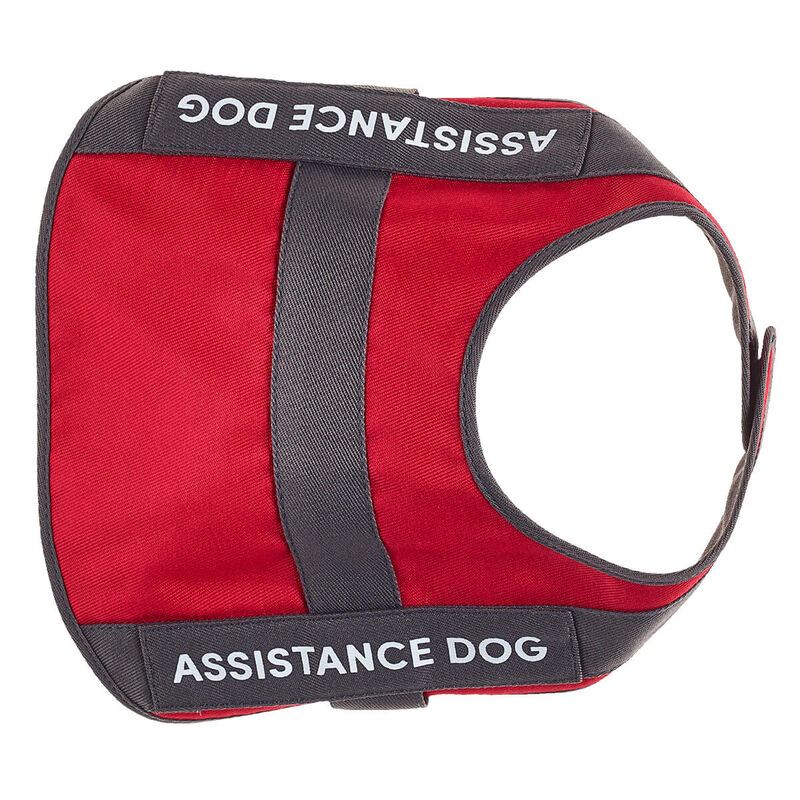 PP ASST DOG VEST