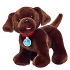 Online Exclusive Promise Pets™ Chocolate Lab