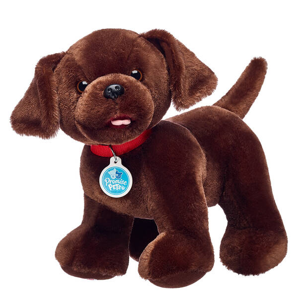 Promise Pets™ Chocolate Lab Plush Shop at BuildABear®