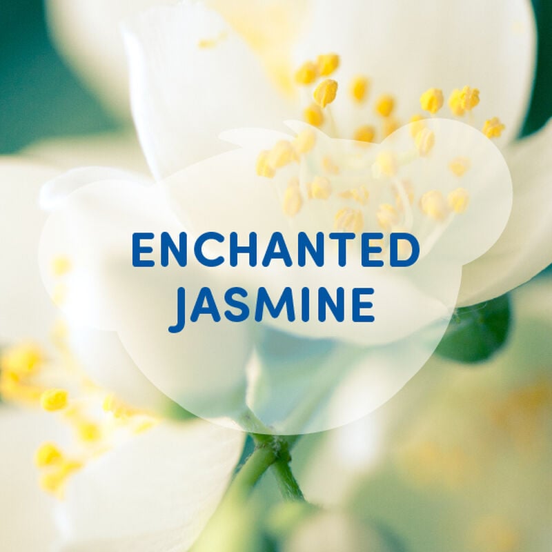 Enchanted Jasmine Scent
