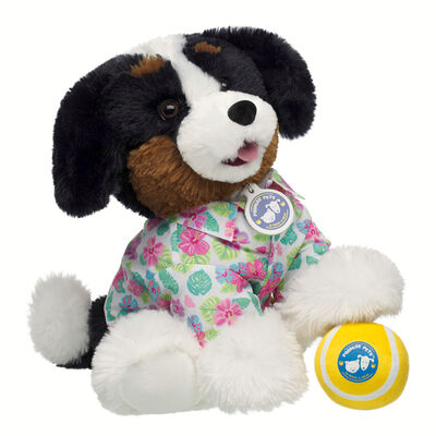 Promise Pets&trade; Bernese Mountain Dog Soft Toy Tennis Ball Gift Set