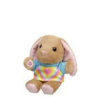 Build-A-Bear Mini Beans Pawlette&trade; Plush Rainbow Heart Gift Set - Build-A-Bear Workshop&reg;