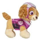 PAW Patrol Skye Costume - Build-A-Bear Workshop®
