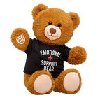 Happy Brown Bear Emotional Support Gift Set