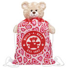 Groovy Hearts Toy Bear Carrier for Stuffed Animals - Build-A-Bear Workshop&reg;