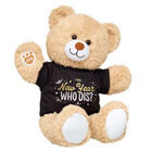 Cuddly Brown Bear New Year Gift Set