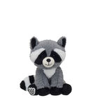 Raccoon Plush - Shop Build-A-Bear® Buddies Online