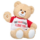 Cuddly Brown Bear Valentine's Day Gift Set