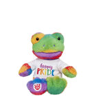 Build-A-Bear Buddies Rainbow Frog Hoppy Pride Gift Set 