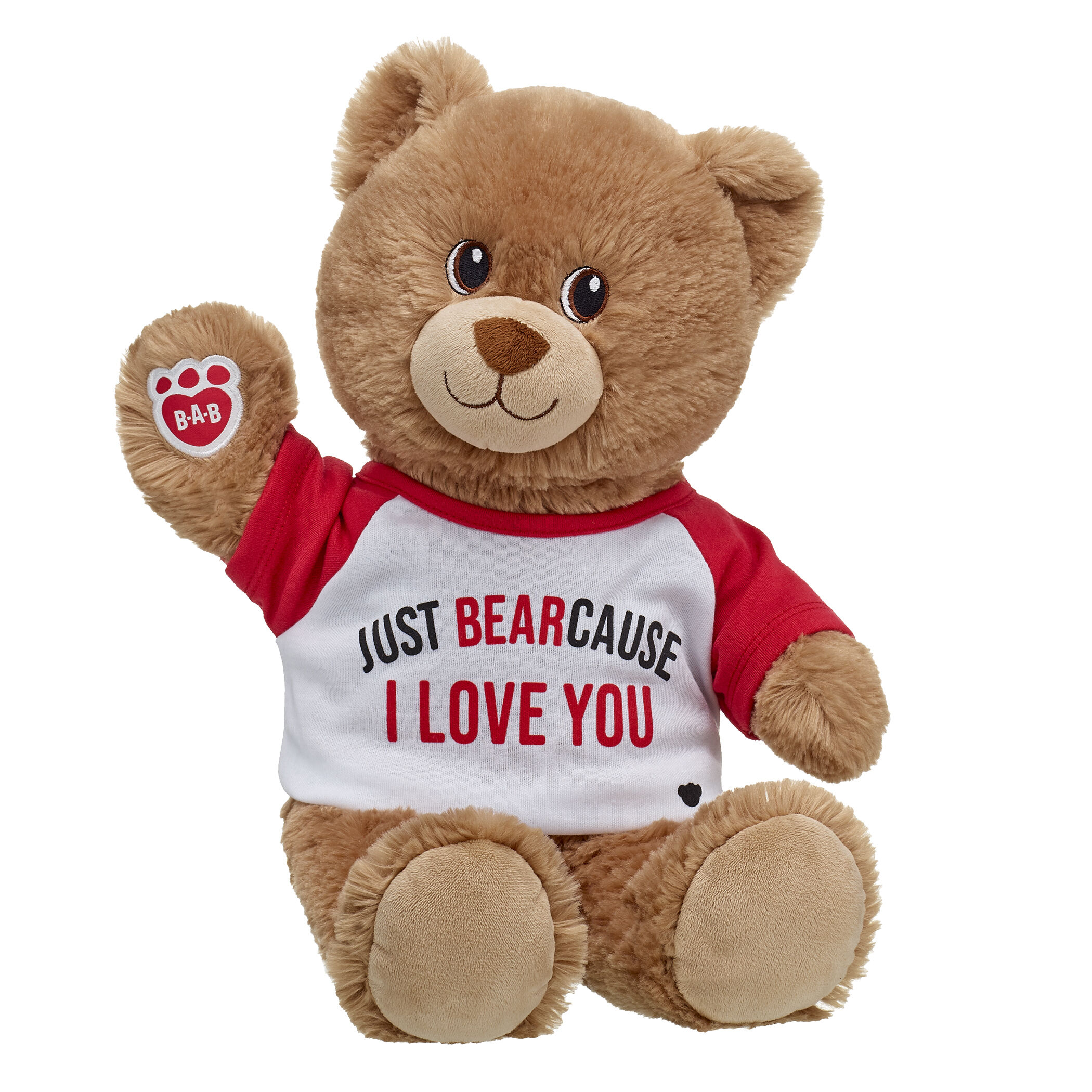 Brownie sales teddy bear