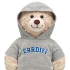 Cardiff Hoodie