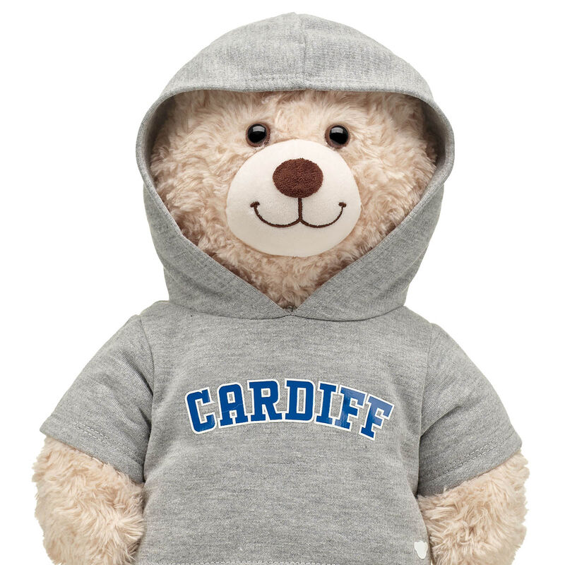 Cardiff Hoodie
