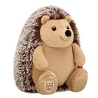Online Exclusive Hedgehog