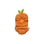 Online Exclusive Build-A-Bear Buddies™ Carrot Costume