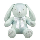 Mint Bunny Build-A-Bear Collectible Featuring Swarovski® crystals with White Bow