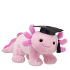 Pink Axolotl Soft Toy Graduation Bundle