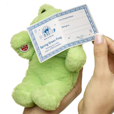 Build-A-Bear Mini Beans® Spring Green Frog Soft Toy