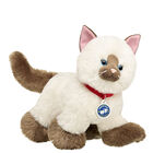 Promise Pets™ Ragdoll Kitten Stuffed Animal - Build-A-Bear Workshop®