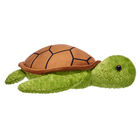 Online Exclusive Green Sea Turtle
