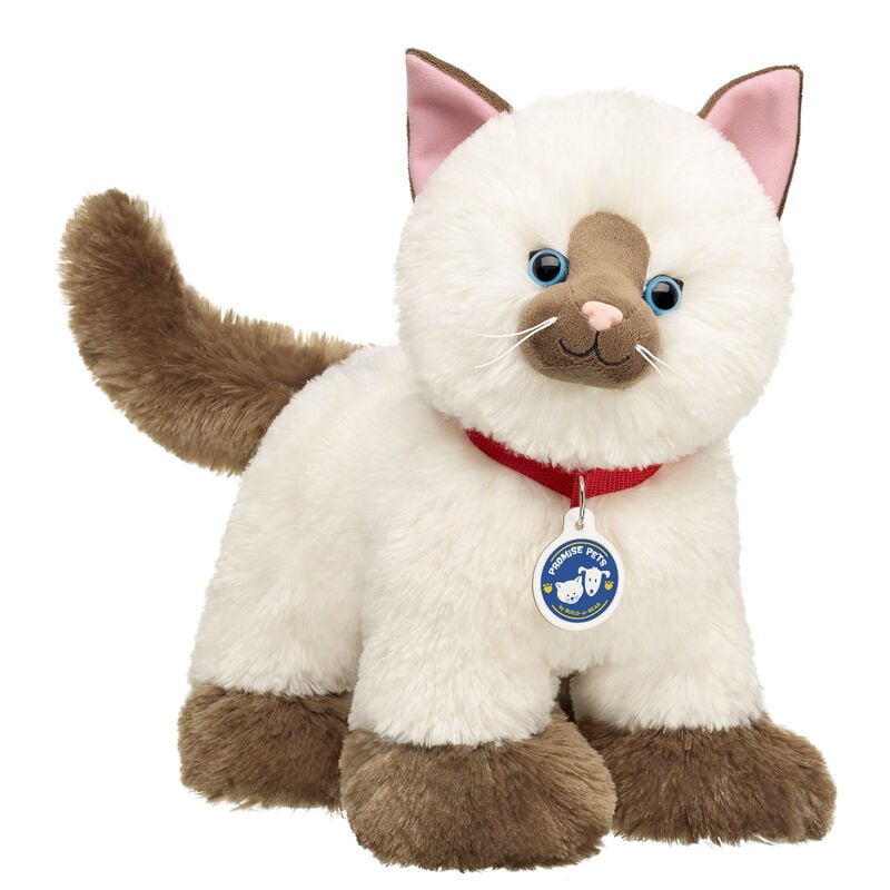Promise Pets&trade; Ragdoll Kitten Stuffed Animal - Build-A-Bear Workshop&reg;
