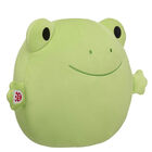 Skoosherz Spring Green Frog Stuffed Animal - Build-A-Bear Workshop&reg;