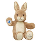 Peter Rabbit™ Stuffed Animal - Build-A-Bear Workshop®
