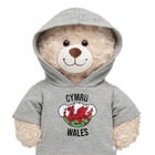 Wales Hoodie