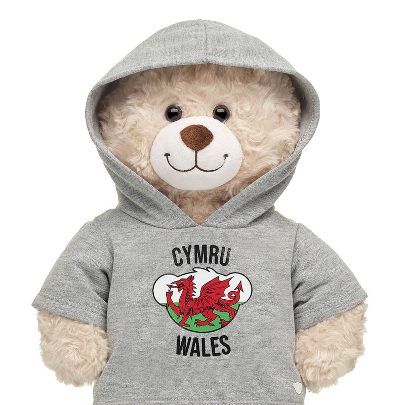 Wales Hoodie
